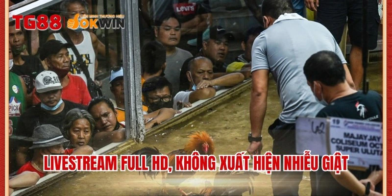 Livestream full HD, không xuất hiện nhiễu giật